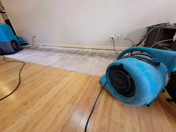 Reliable Basement Flood Cleanup contractor in Chandler, OK by Hirex Water Damage